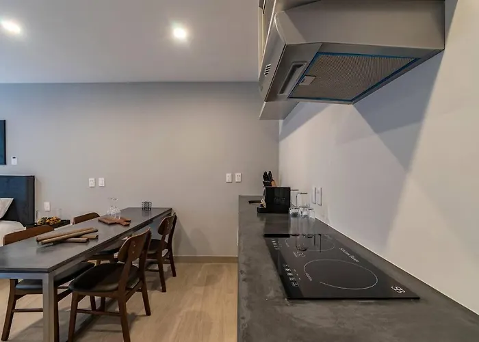 Lovely Loft In Coyoacán * México DF