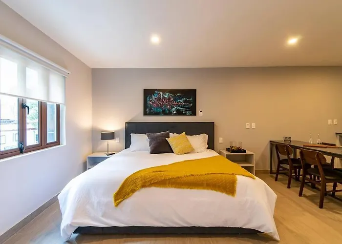 Lovely Loft In Coyoacán *