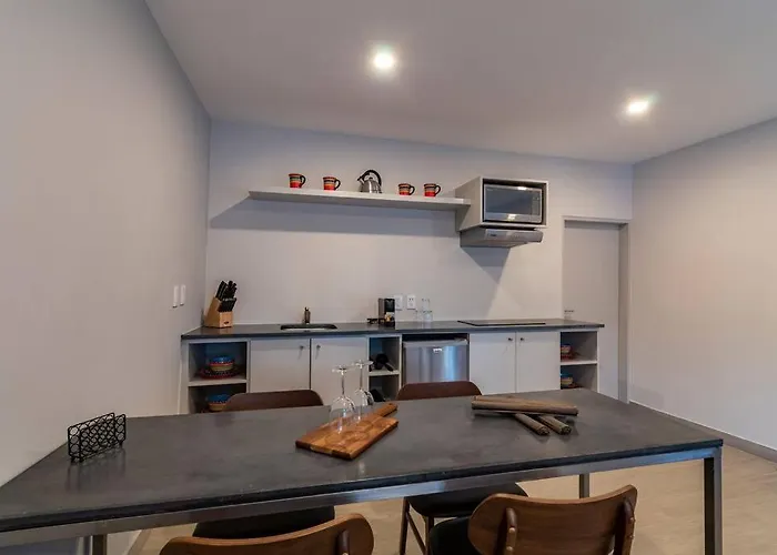 Lovely Loft In Coyoacán